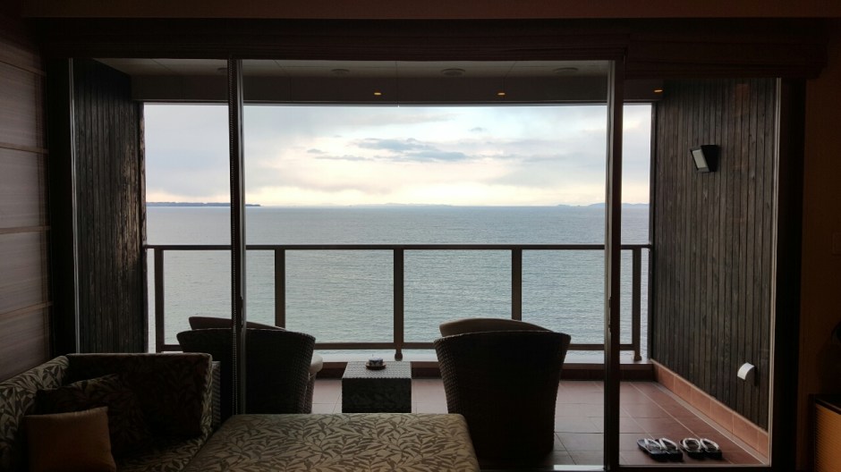 View from the living room