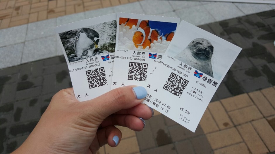 20160709_141258-resized-1024