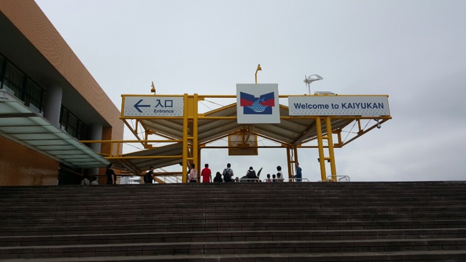 20160709_141409-resized-1024