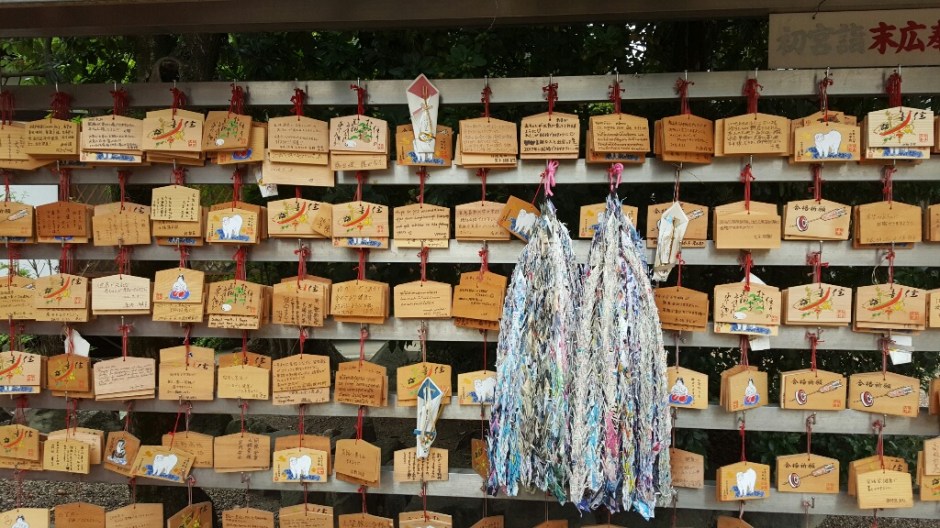 20160708_152700-resized-1024