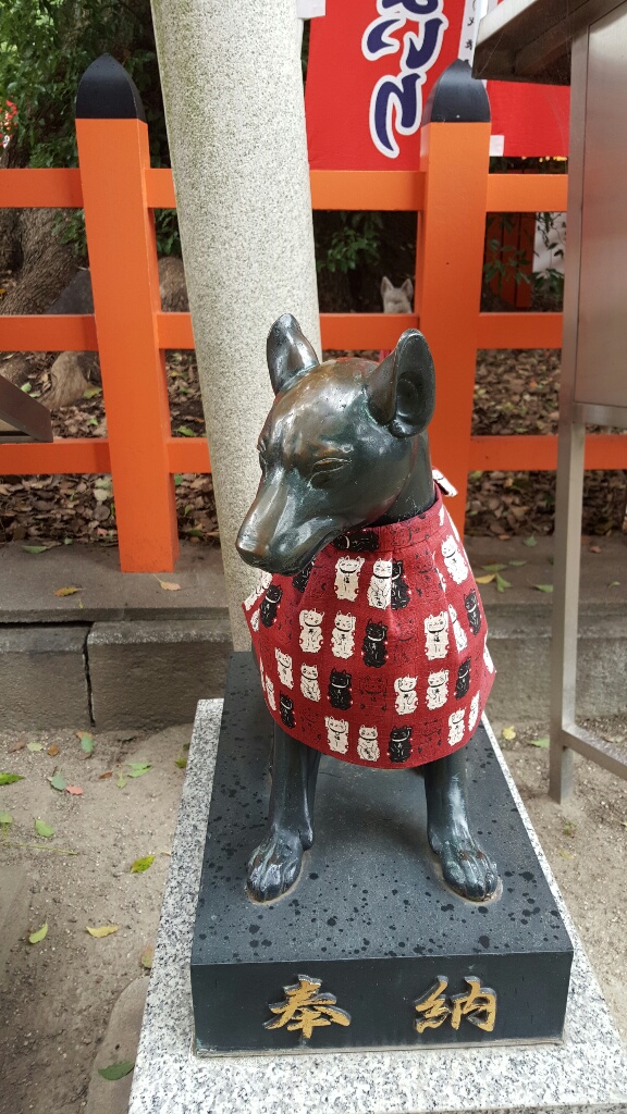 20160708_153715-resized-1024