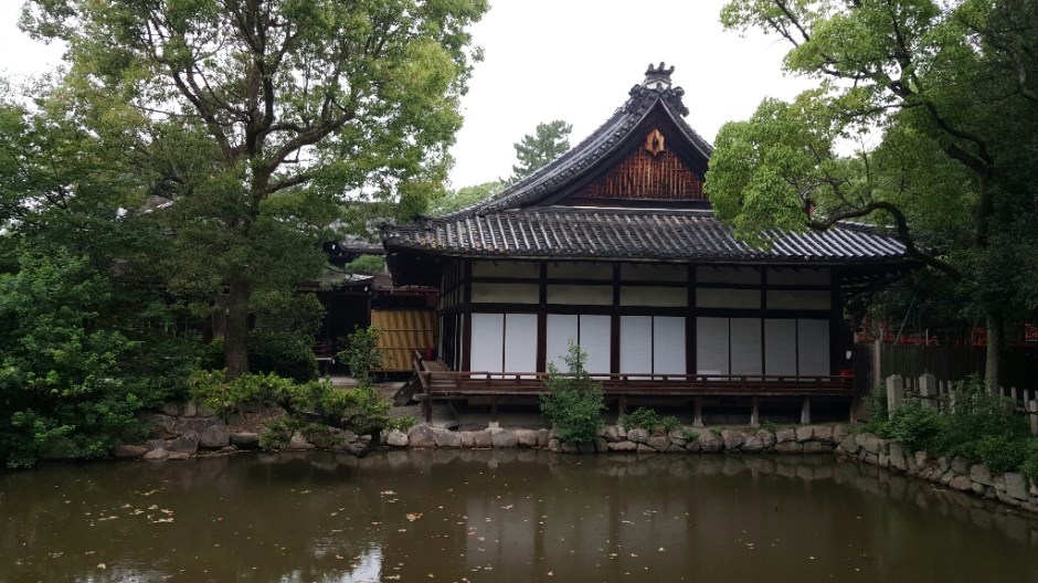 20160708_154024-resized-1024