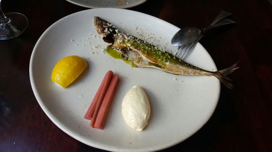 20160917_133125-resized-1024