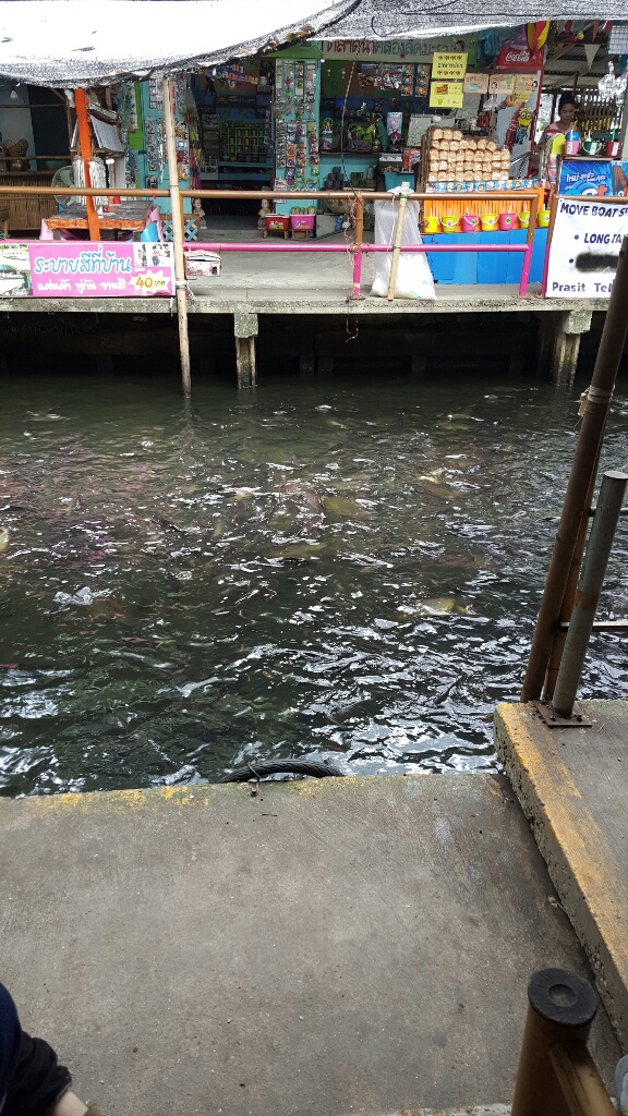 20161009_100652-resized-1024