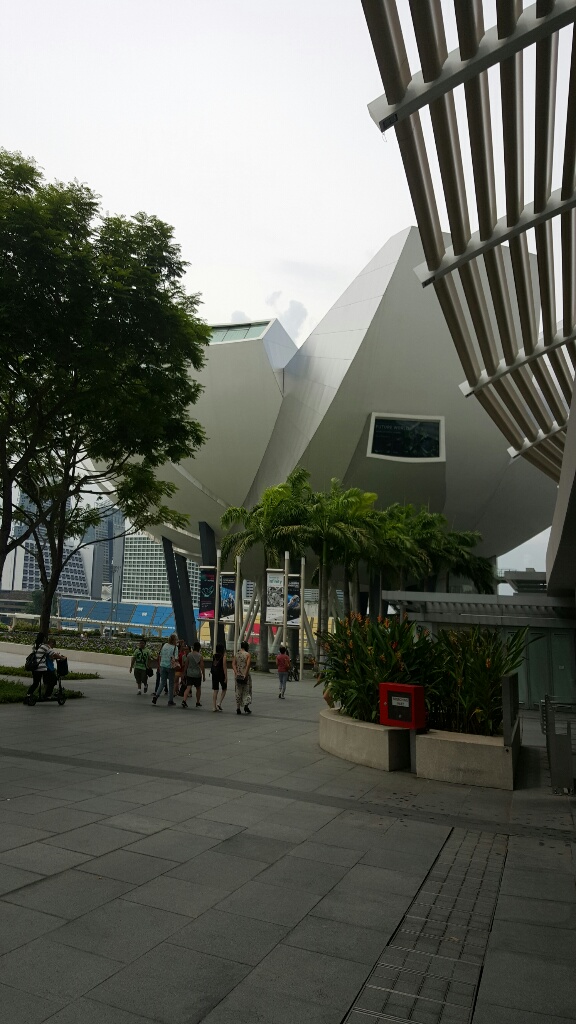 20161022_140006-resized-1024