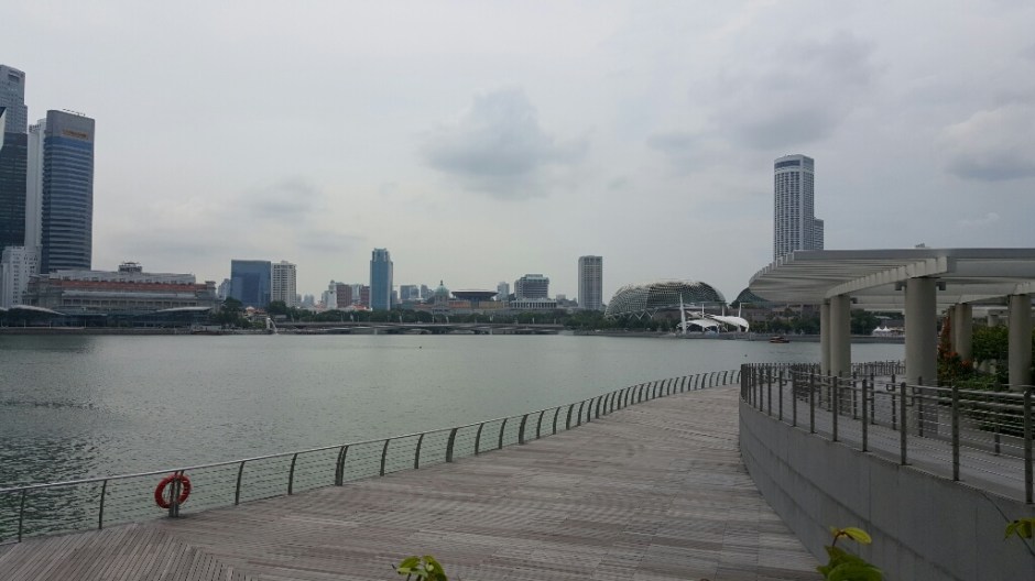 20161022_140029-resized-1024