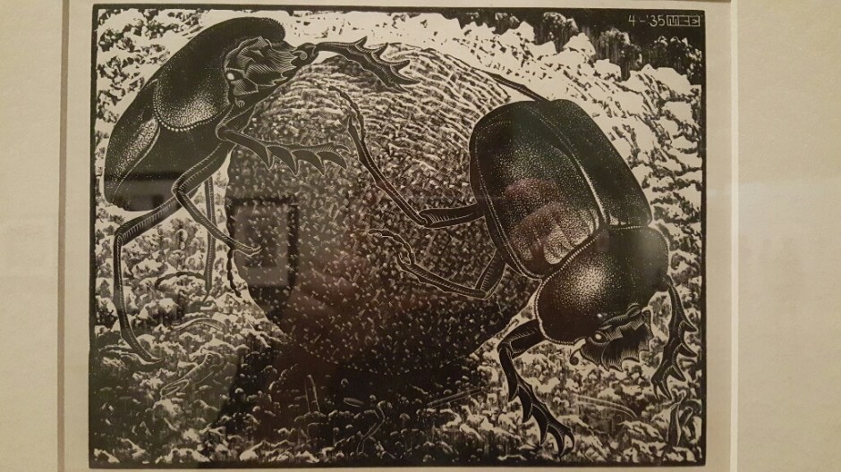 20161022_143159-resized-1024