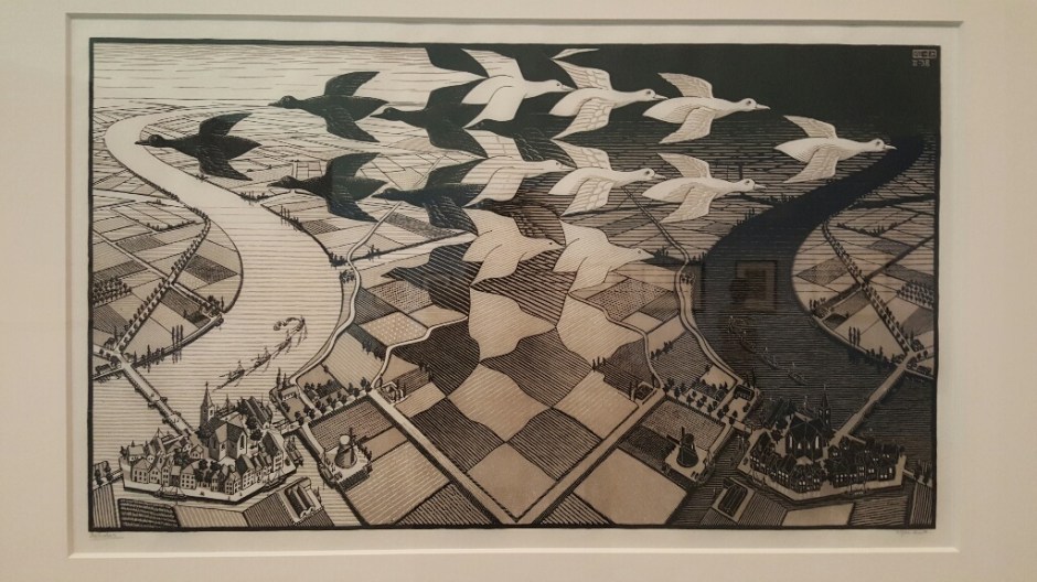 20161022_144500-resized-1024