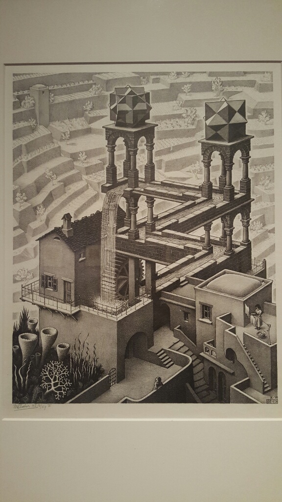 20161022_151131-resized-1024