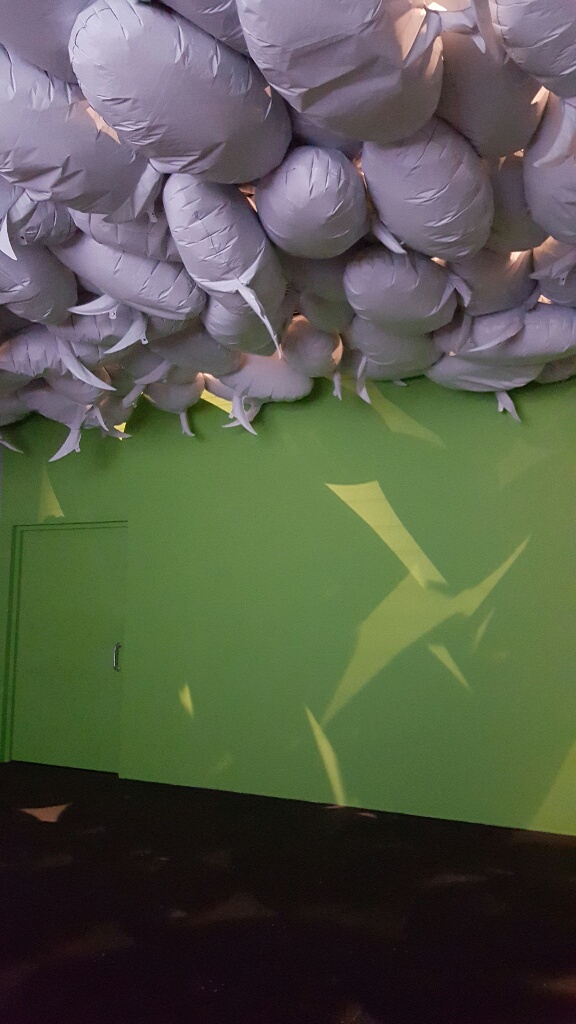 20161023_131821-resized-1024