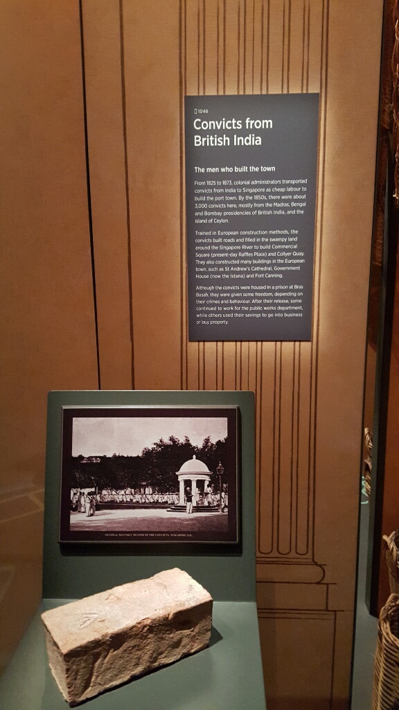 20161023_135026-resized-1024