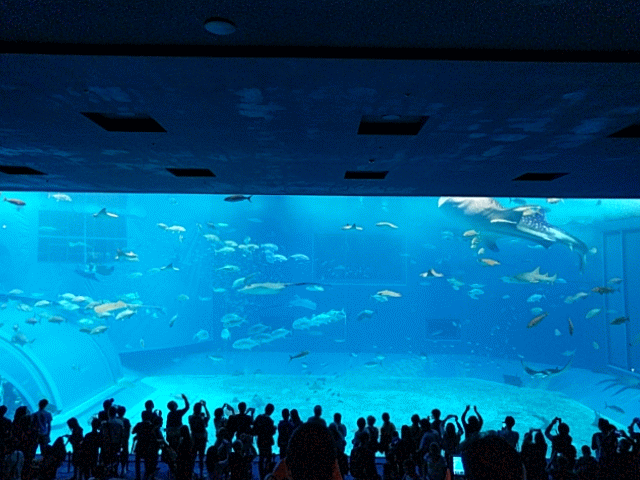 Burst_Cover_GIF_Action_20170410124238