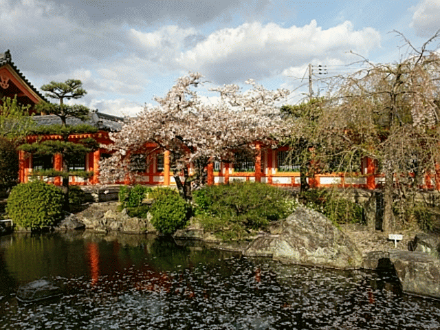 Burst_Cover_GIF_Action_20170412163227