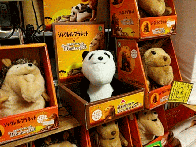 Burst_Cover_GIF_Action_20170413140150